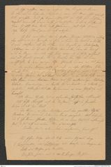Nachlass Franz Steindachner, Brief von Franz Sikora an Franz Steindachner (11.12.1896), Inv.Nr. 482.11, Seite 8